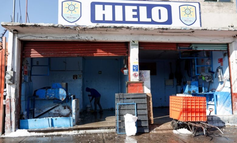 Profeco afirma que existe abasto suficiente de hielos en México