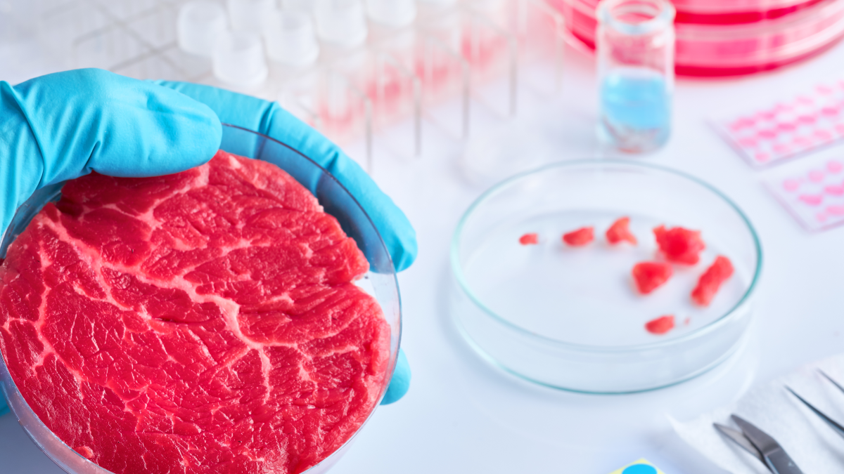 Reguladores estadounidenses aprueban pollo cultivado en laboratorios