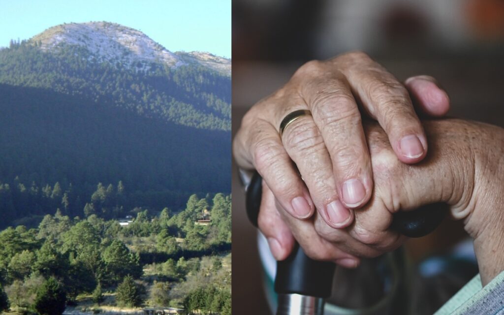 Rescatan a adulto mayor con fracturas y deshidratación; llevaba dos días perdido en el Ajusco