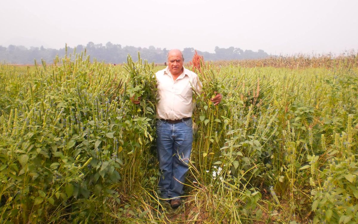 UACM exige investigar a fondo asesinato del ambientalista Álvaro Arvizu