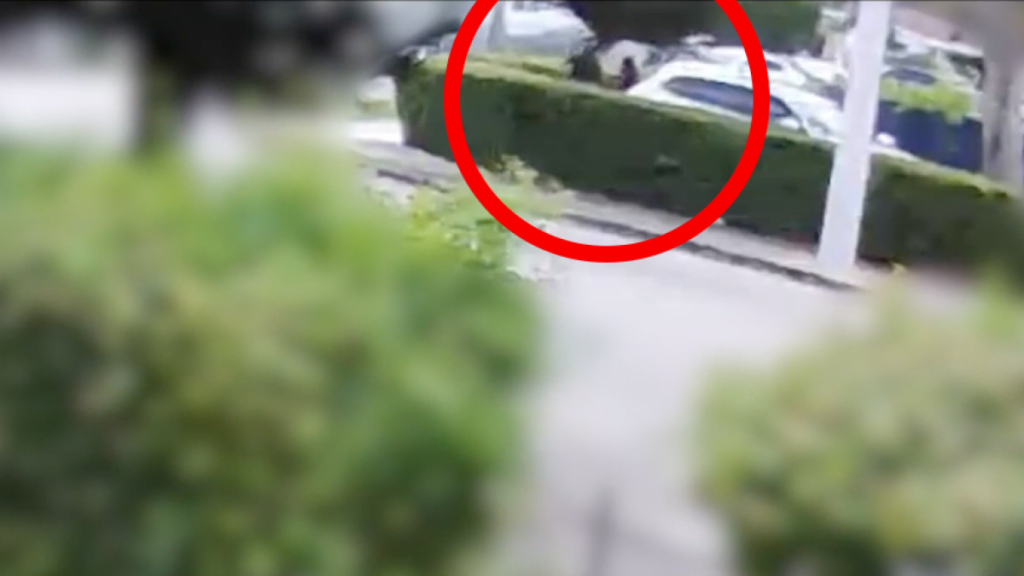 intento de secuestro durante cita con mujer en Miami