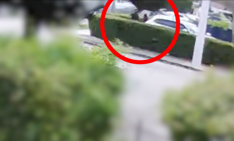 intento de secuestro durante cita con mujer en Miami