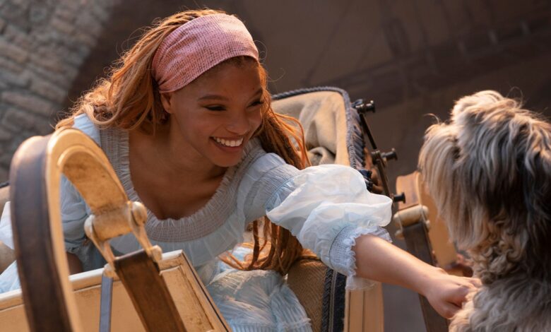 Ariel petting Max the dog while human in The Little Mermaid (2023)