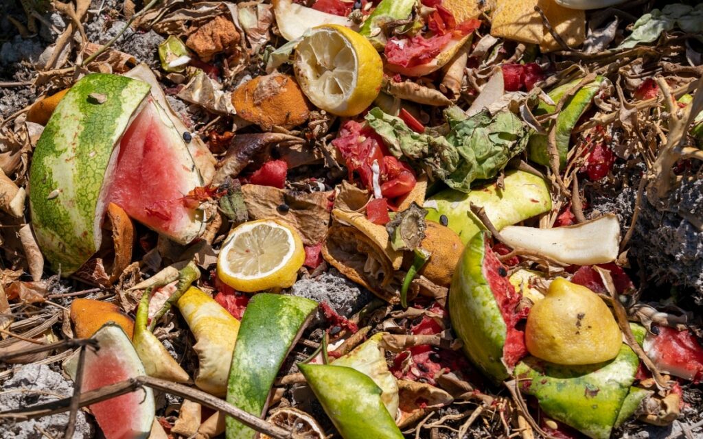 14% de la comida del mundo se desperdicia: FAO