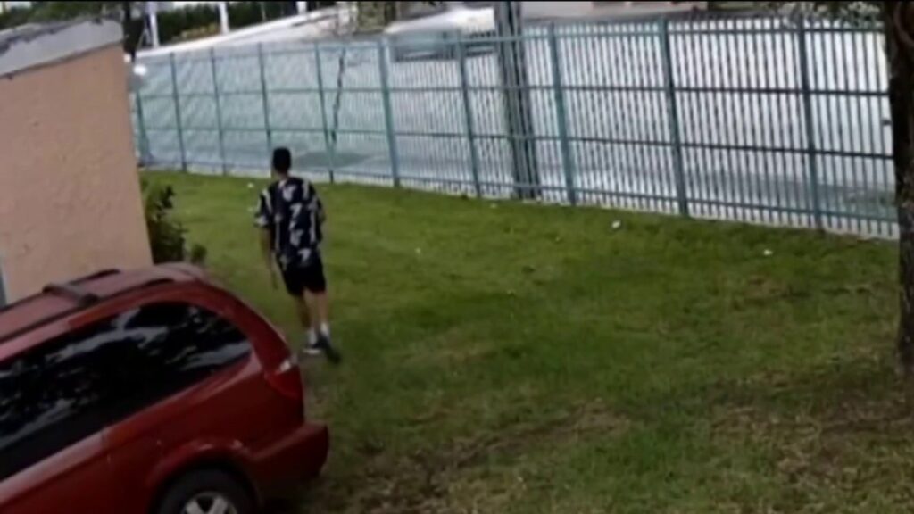 Niña de 6 años lucha con hombre en posible intento de secuestro en Miami