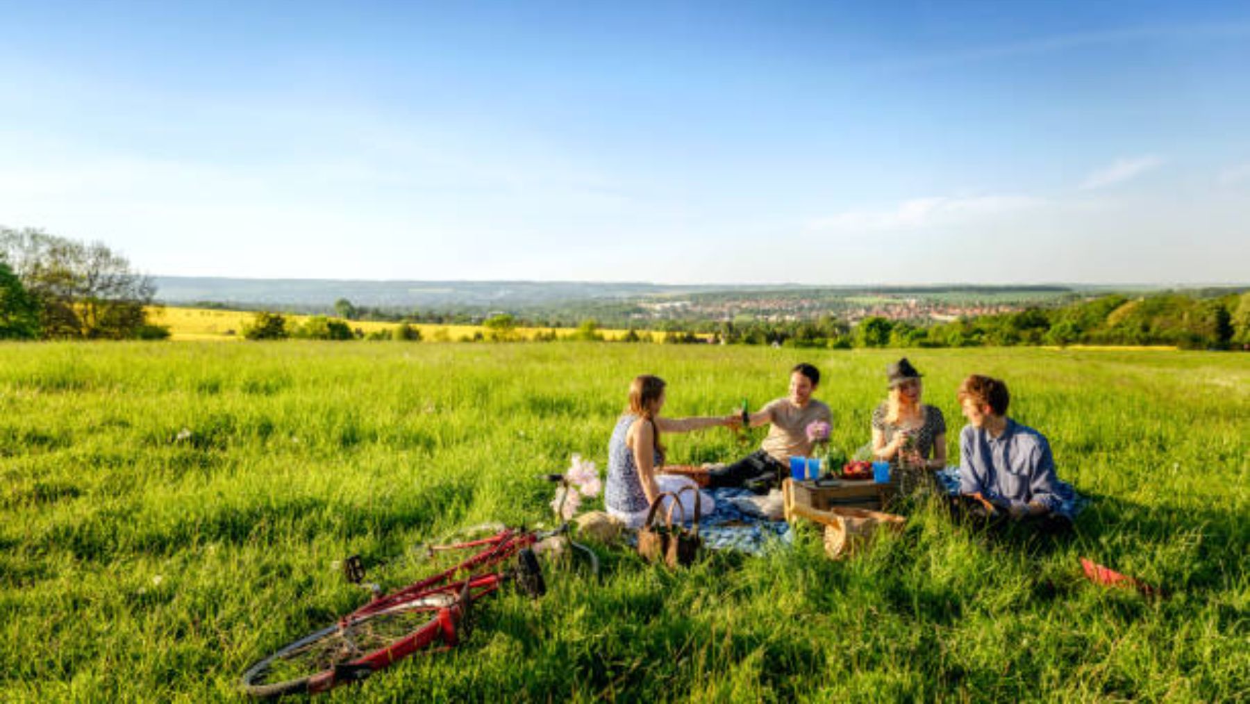 la cesta plegable 2×1 con la que triunfarás entre tus amigos