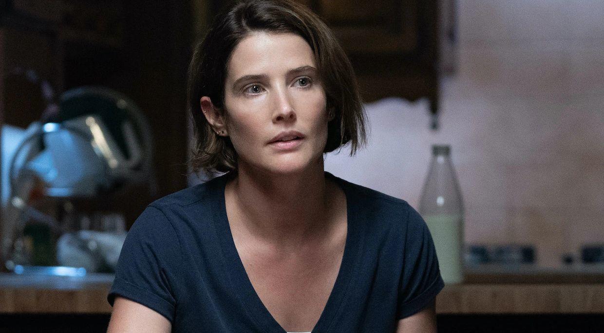 cobie-smulders-maria-hill.jpg cobie-smulders-maria-hill.jpg