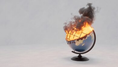 5 preguntas clave que los fundadores de tecnología climática deberían hacer a los inversores de impacto