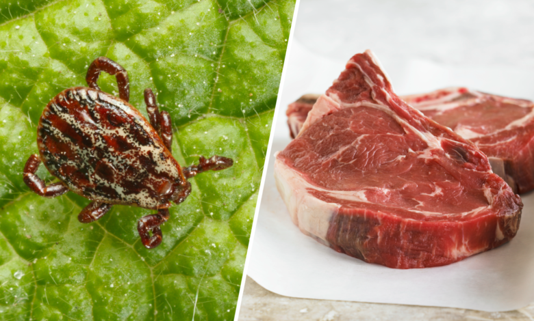 Alergia a la carne causada por garrapatas podría afectar a miles en EEUU, según los CDC