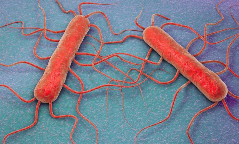 Brote de listeria deja 3 muertos en el estado de Washington