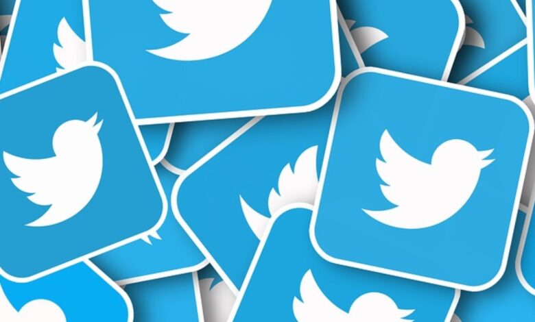 Causa molestias en Twitter la limitación de Elon Musk
