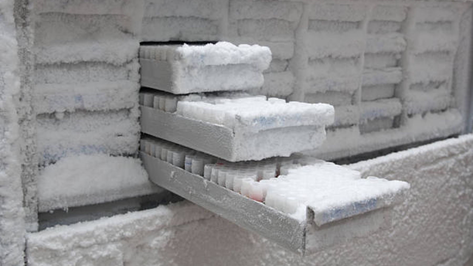 Desconecta un congelador porque le molestaba el ruido y destruye 20 años de investigación