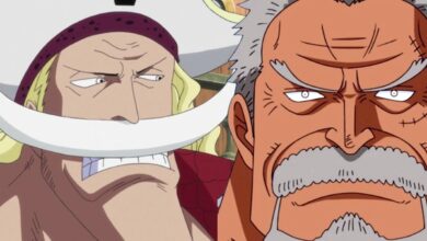 El nuevo Whitebeard de One Piece es un héroe que nadie esperaría después de Big Twist