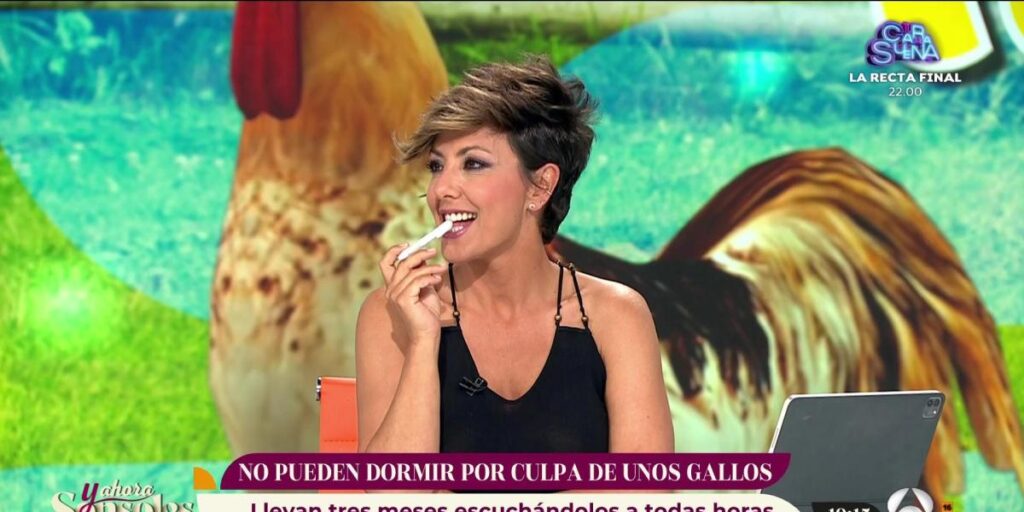 Este fichaje de Sonsoles Ónega salta por sorpresa a 'Sálvame Deluxe'