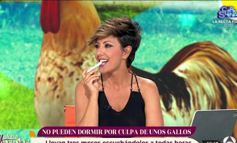 Este fichaje de Sonsoles Ónega salta por sorpresa a 'Sálvame Deluxe'