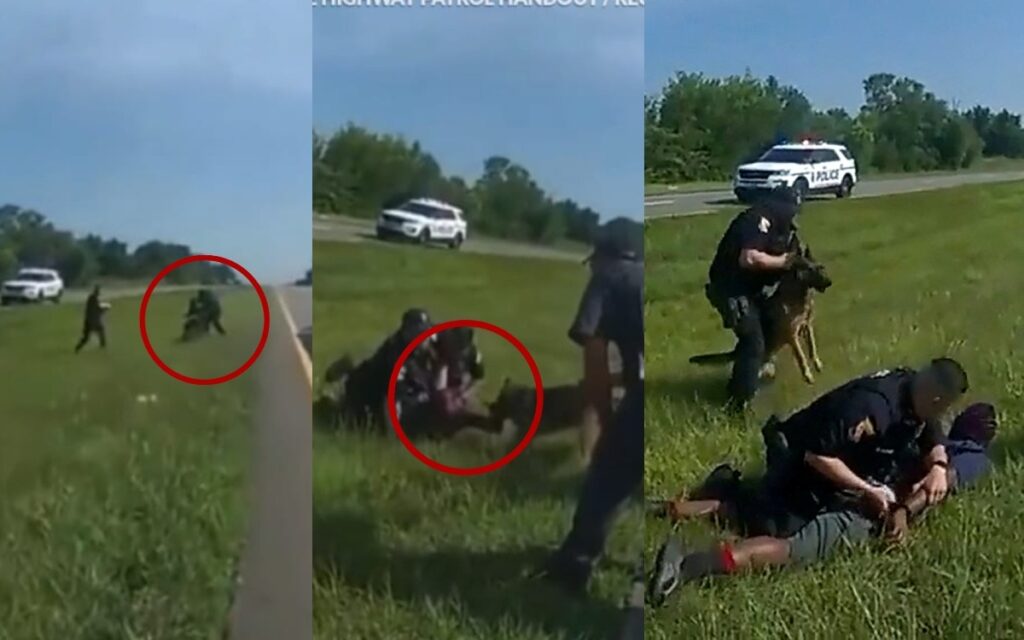 Fuertes imágenes | Nuevo abuso policial contra un afroamericano en EU; ahora con un perro