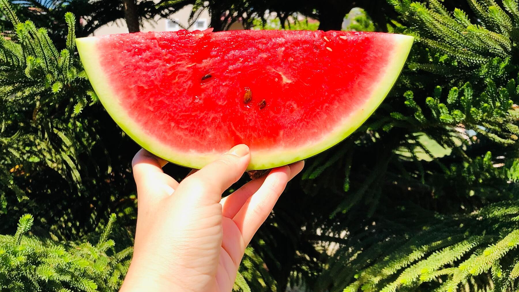 Hay un aparato mágico para cortar la sandía sin mover un dedo y lo necesitas en tu vida