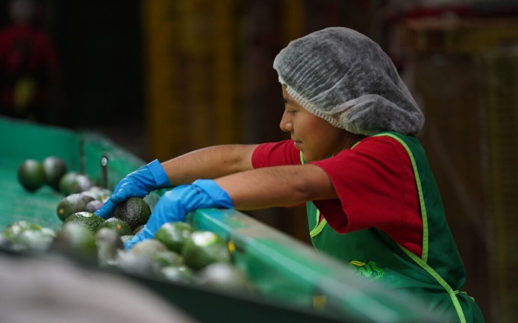 Informalidad laboral creció a 55.2% en junio: Inegi