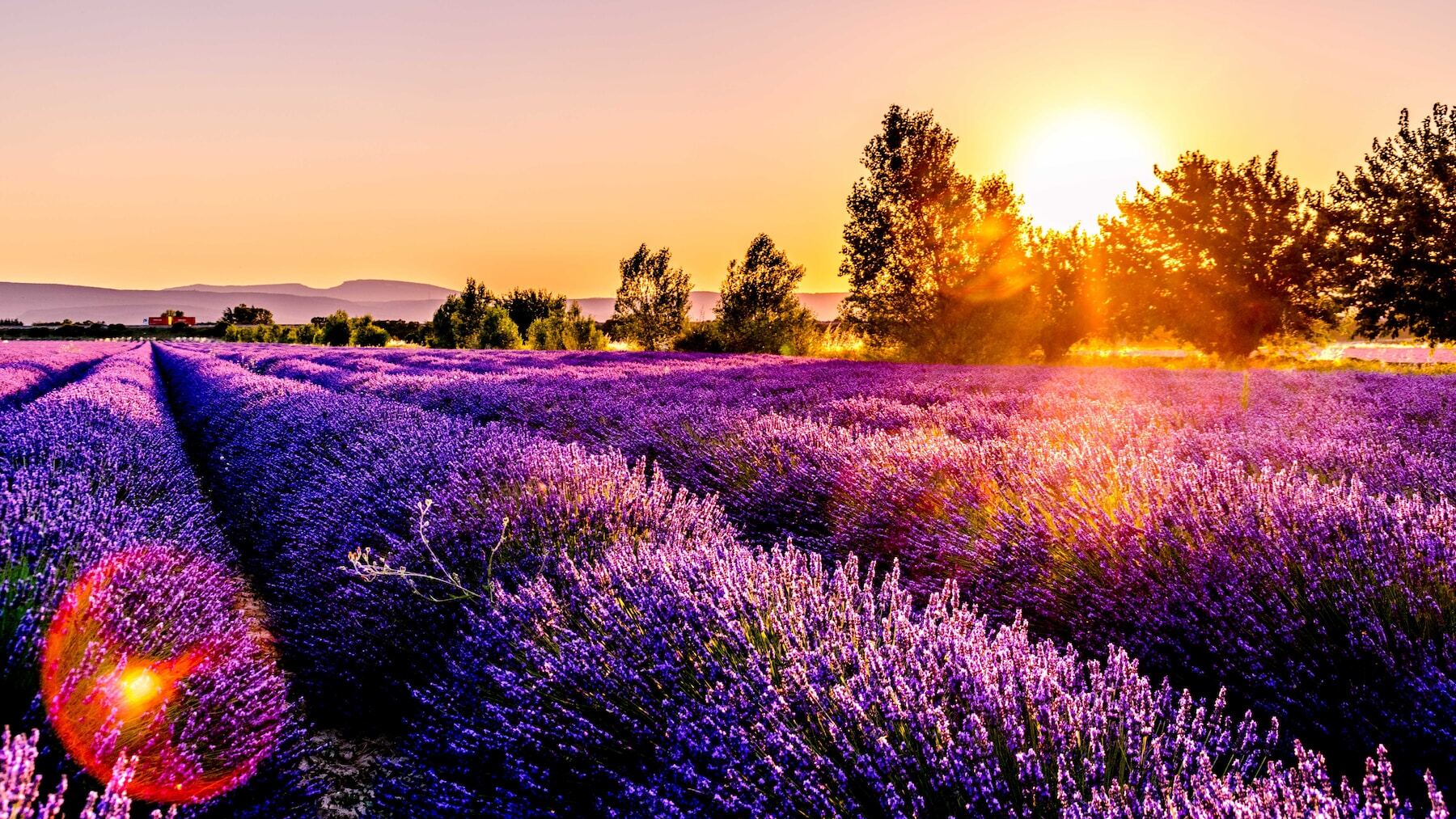 Jamás hubieras imaginado que este pueblo de Valladolid es el mejor para el verano: palabra de National Geographic
