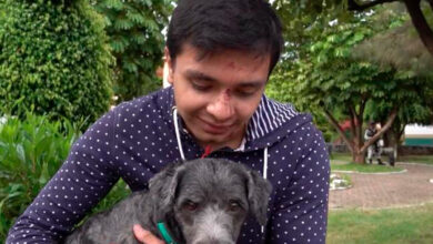Joven y su perrito, sobrevivientes del accidente carretero en Oaxaca