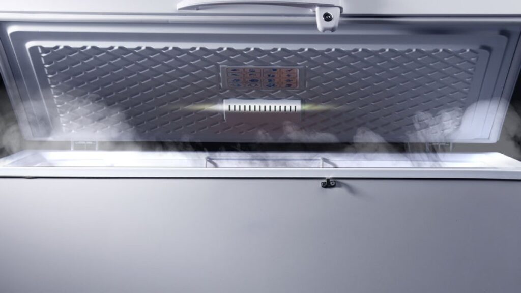 Lo acusan de guardar el cuerpo de su pareja en un congelador y cobrar su pensión