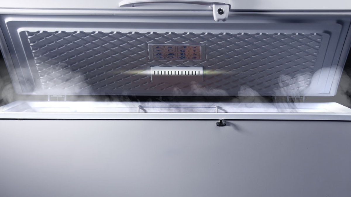 Lo acusan de guardar el cuerpo de su pareja en un congelador y cobrar su pensión