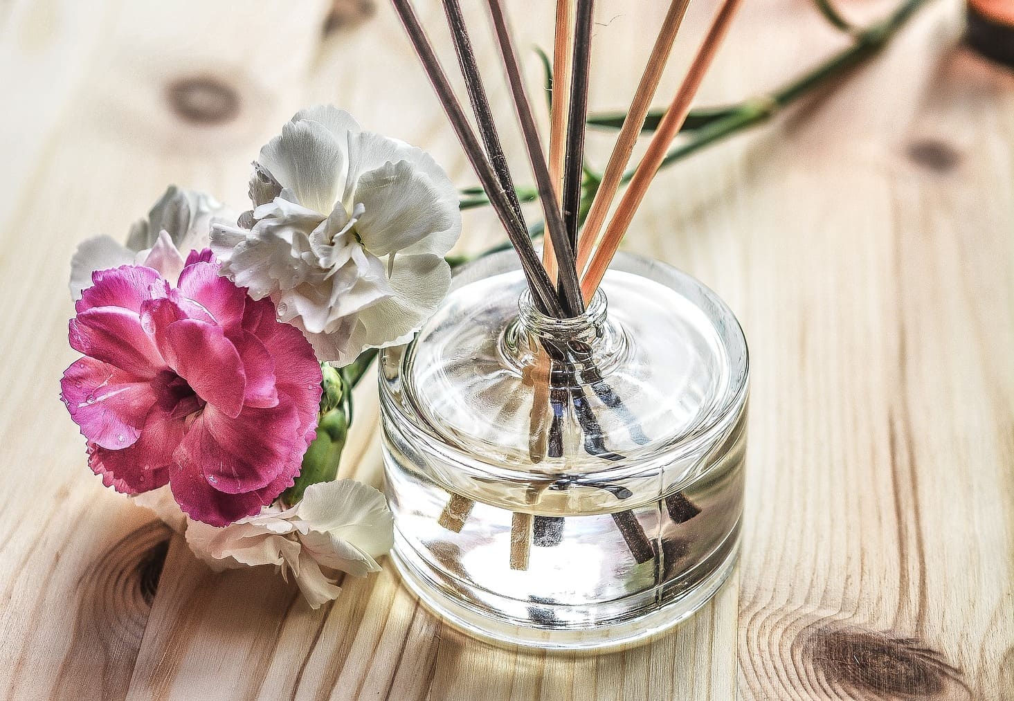 Los 4 trucos virales para que tu casa huela siempre como el paraíso