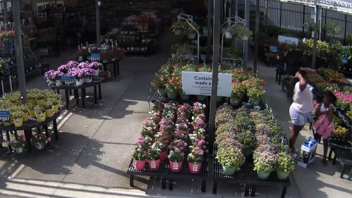 Madre de Florida es acusada de robo y negligencia infantil