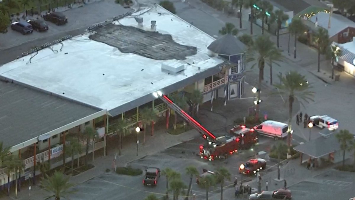 Mortal incendio en centro de animales en Pinellas, Florida