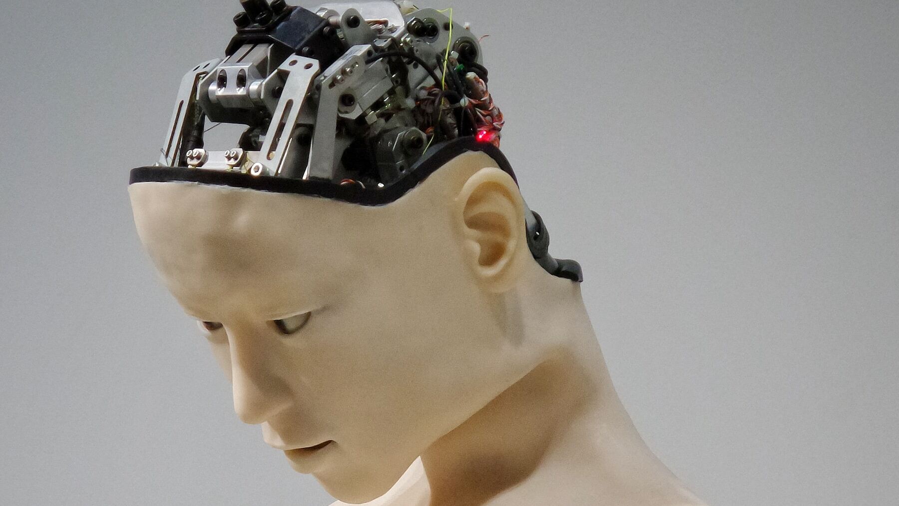 Ni se te ocurra estudiar esta carrera. La IA ha destrozado por completo su principal empleo