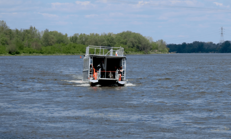 Niño de 7 años cae de un ferry; su madre salta al agua buscando rescatarlo