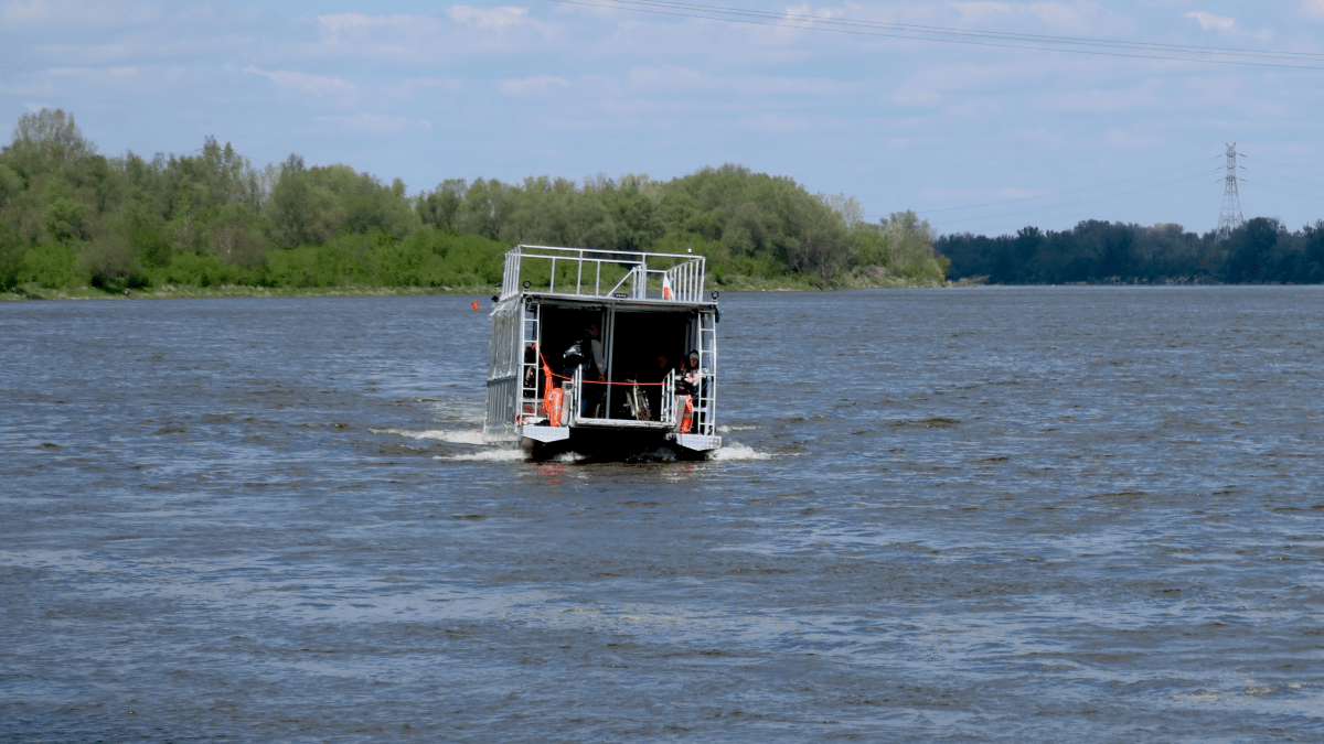 Niño de 7 años cae de un ferry; su madre salta al agua buscando rescatarlo