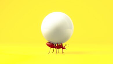 No necesita VC para desarrollar un producto de tecnología de consumo