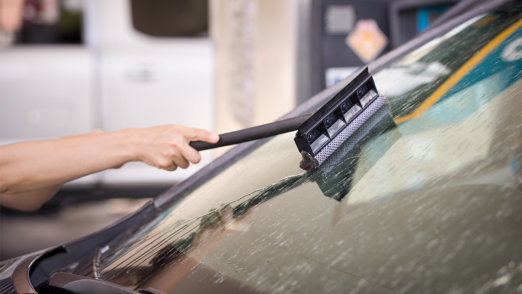 No tires más el dinero en los túneles de lavado y utiliza estos trucos para quitar los mosquitos de tu coche