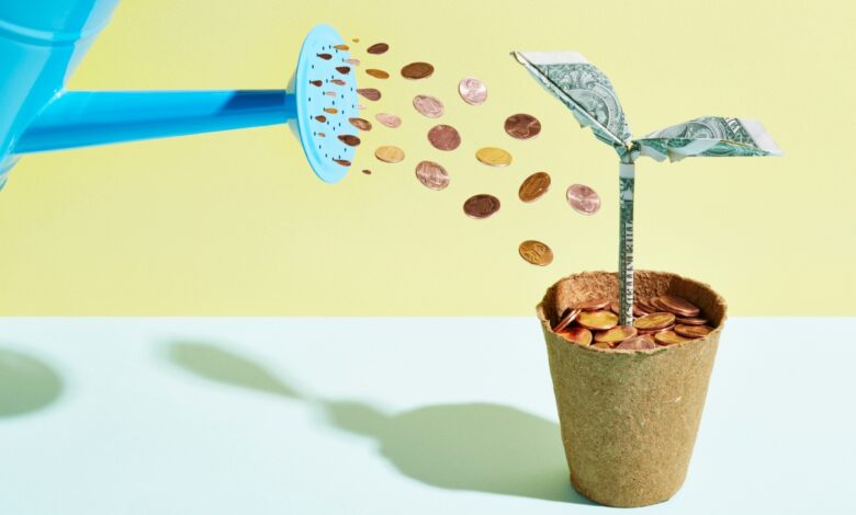 Oigan, startups atascadas, reducir el crecimiento podría hacerlos menos financiables