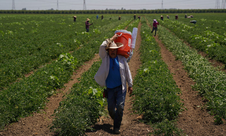 Ola de calor azota EU; advierten temperaturas 'peligrosas'