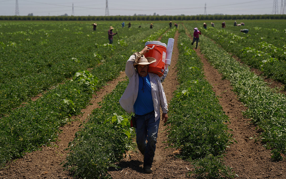 Ola de calor azota EU; advierten temperaturas 'peligrosas'