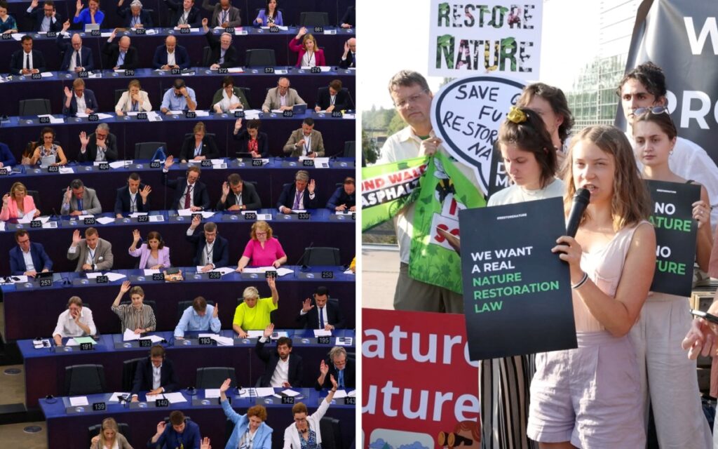 Parlamento Europeo aprueba ley para proteger la biodiversidad