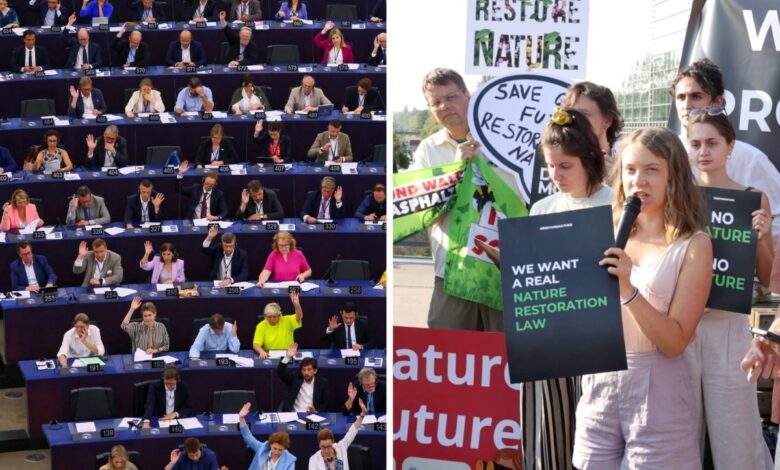 Parlamento Europeo aprueba ley para proteger la biodiversidad