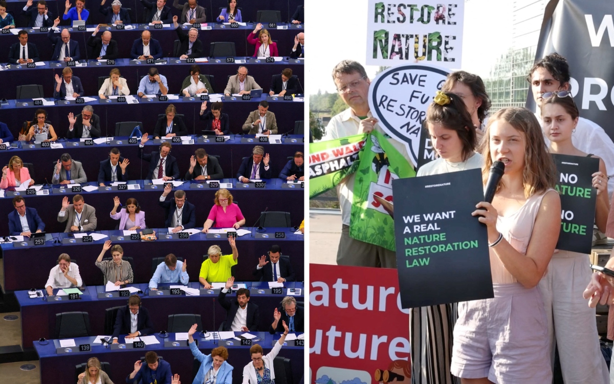 Parlamento Europeo aprueba ley para proteger la biodiversidad