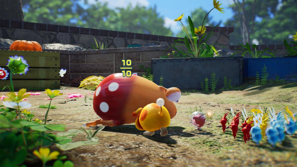 Pikmin 4 obtiene nuevos obsequios de My Nintendo