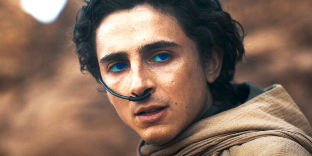 Por qué Dune 2 no se retrasará explicado por el CEO de IMAX: "Sin faltar el respeto a Timothée Chalamet"