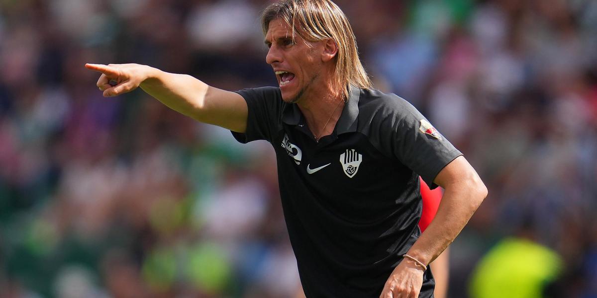 Profunda remodelación en el Elche