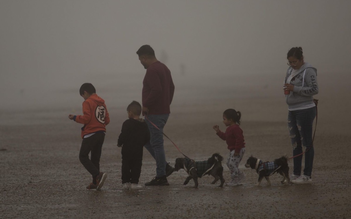 Programas sociales han beneficiando a los hogares de ingresos más altos: Ramírez