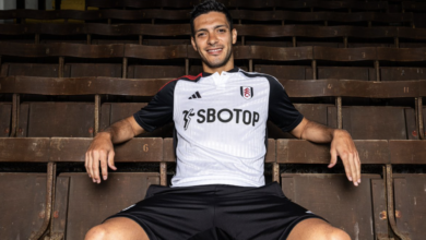 Raúl Jiménez deja al Wolverhampton y recala en el Fulham | Video