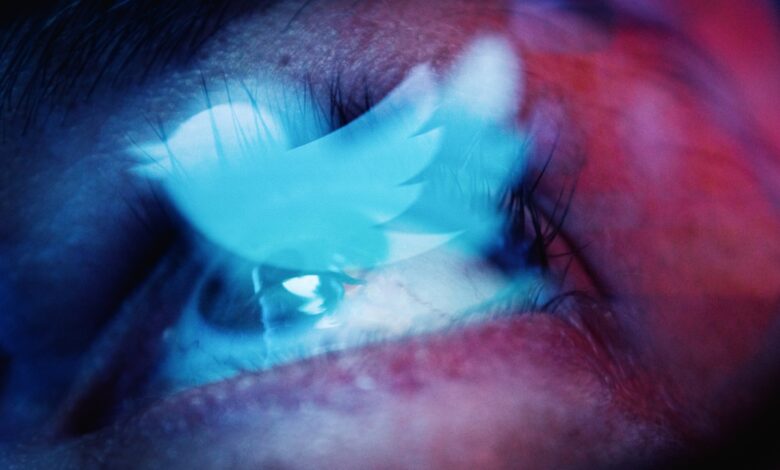 Restricciones buscan combatir 'bots' que recaban datos para la IA: Twitter