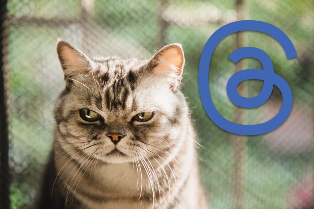 Threads no merece mi FOMO, pero aquí estamos