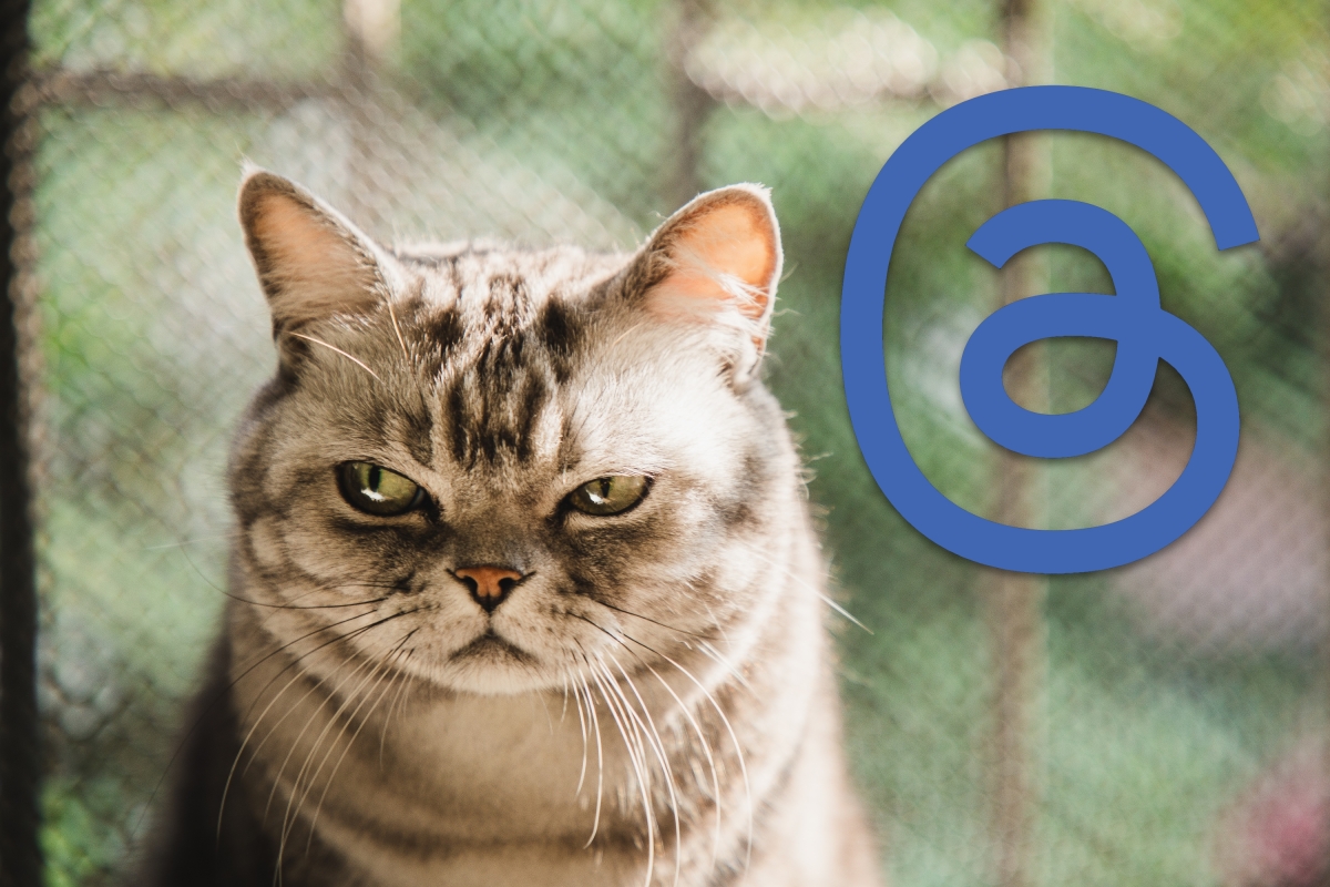 Threads no merece mi FOMO, pero aquí estamos