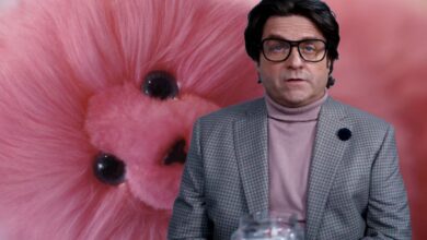 Tráiler de Beanie Bubble: Zach Galifianakis irreconocible se vuelve loco con el poder durante Beanie Baby Craze