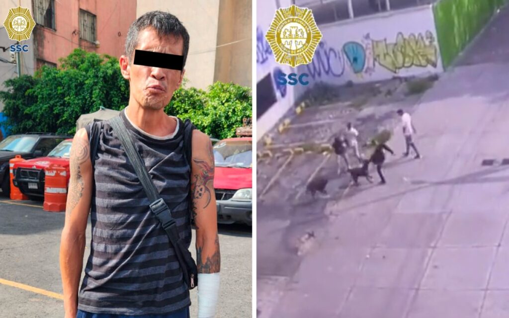 Video | Asaltante mata a perro que defendía a su dueño; policía lo detiene